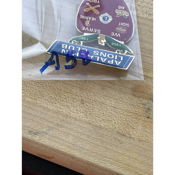 Vintage Lions Club Lapel Pin Apalachin Lions Club We Serve 1956-1981 Apple - Picture 6 of 6